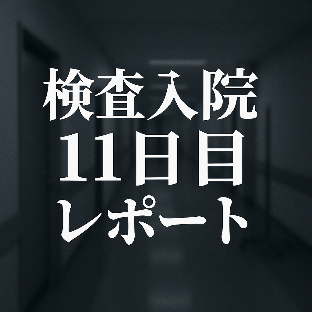 11day